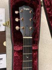 Taylor 224CE-Koa DLX ハワイアンコア単板トップ/ES-2ピックアップ付き!_6