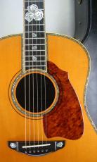 Terry's Terry TJ-20th Anniversary Limited Edition / 20th Rose Abalone Inlay・Body Abalone Trim and Rosette・Genuine Tortoise Pick guard・Spruce Top・ Honduras Rosewood・Ebony Fingerboard and Bridge【With Original Case】_2