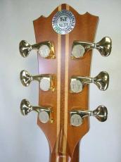 Terry's Terry TJ-20th Anniversary Limited Edition / 20th Rose Abalone Inlay・Body Abalone Trim and Rosette・Genuine Tortoise Pick guard・Spruce Top・ Honduras Rosewood・Ebony Fingerboard and Bridge【With Original Case】_5