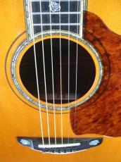 Terry's Terry TJ-20th Anniversary Limited Edition / 20th Rose Abalone Inlay・Body Abalone Trim and Rosette・Genuine Tortoise Pick guard・Spruce Top・ Honduras Rosewood・Ebony Fingerboard and Bridge【With Original Case】_7