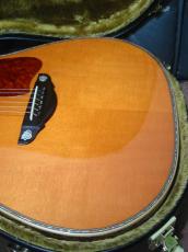 Terry's Terry TJ-20th Anniversary Limited Edition / 20th Rose Abalone Inlay・Body Abalone Trim and Rosette・Genuine Tortoise Pick guard・Spruce Top・ Honduras Rosewood・Ebony Fingerboard and Bridge【With Original Case】_10