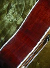 Terry's Terry TJ-20th Anniversary Limited Edition / 20th Rose Abalone Inlay・Body Abalone Trim and Rosette・Genuine Tortoise Pick guard・Spruce Top・ Honduras Rosewood・Ebony Fingerboard and Bridge【With Original Case】_13