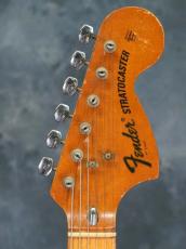 Fender 1973 Stratocaster Natural / Maple_3