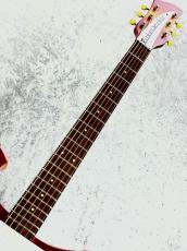 Rickenbacker 【決算セール】Model 425 FG  -Fireglo- 【1964'USED】【Vintage】_4