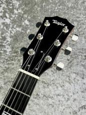 Taylor 【決算セール】 T-3 CustomShop  -Metallic Flake-   【2018'USED】_3