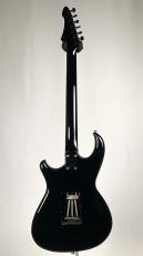 Aria Pro II RS HELLCAT -Black- 【USED】_9