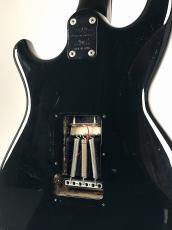 Aria Pro II RS HELLCAT -Black- 【USED】_11
