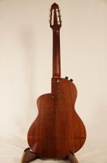 Rick Turner Guitars Renaissance RN-6【USED】_4