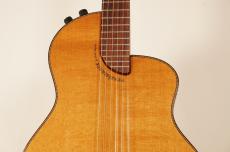 Rick Turner Guitars Renaissance RN-6【USED】_5
