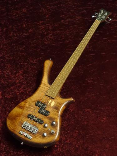 Warwick Fortress One Mod【2000年製】