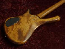 Warwick Fortress One Mod【2000年製】_3