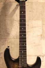 Red House 【フレイムネック】CTM Seeker S / HH / 5A Birl Maple -Trans Black Burst-【3.46kg】_7