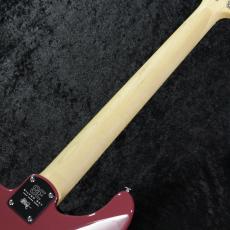 Paul Reed Smith [PRS] 【3.59kg】SE SILVER SKY ROSEWOOD -Derby Red- #CTI H043148【2025年】 【分割手数料無料】_10