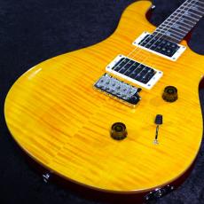 Paul Reed Smith [PRS] 【3.39kg】SE Custom 24 -Vintage Yellow- #CTI H024414【分割手数料無料】【2025年製】_3