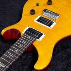 Paul Reed Smith [PRS] 【3.39kg】SE Custom 24 -Vintage Yellow- #CTI H024414【分割手数料無料】【2025年製】_10