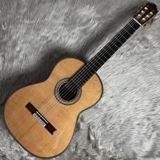 VICENTE CARRILLO Maestro NOMEX/C/650【ダブルトップ】_2