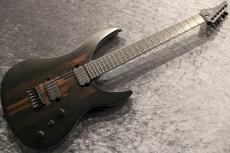 RUF Guitars 【決算セール】Professor Series Schr?dinger 6 Ziricote #SCH2024041606 【オールカーボン】【3.61kg】