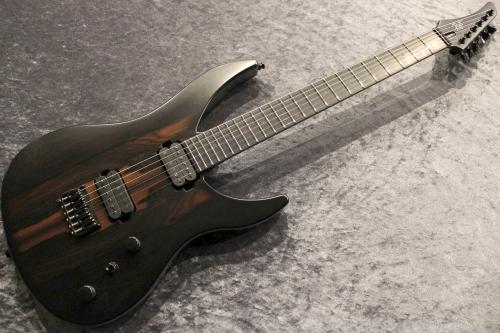 RUF Guitars 【決算セール】Professor Series Schr?dinger 6 Ziricote #SCH2024041606 【オールカーボン】【3.61kg】