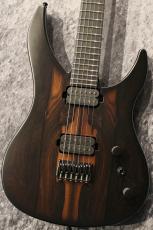 RUF Guitars 【決算セール】Professor Series Schr?dinger 6 Ziricote #SCH2024041606 【オールカーボン】【3.61kg】_2
