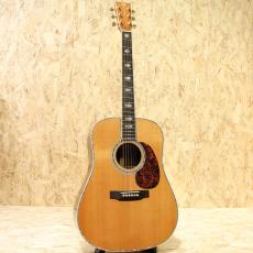 Martin D-45 2007_3