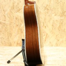 Martin D-45 2007_5