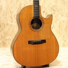 Larrivee L-27 INLAY CUTAWAY 1979