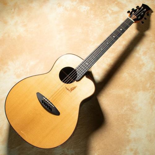 aNueNue aNN-LS770E