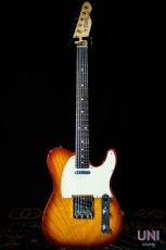 Tokai Vintage Serie ATE-2 ITB/R_2