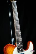 Tokai Vintage Serie ATE-2 ITB/R_4