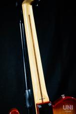Tokai Vintage Serie ATE-2 ITB/R_6