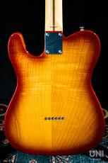 Tokai Vintage Serie ATE-2 ITB/R_10