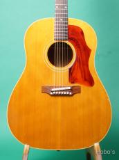 Gibson J-50