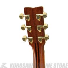 YAMAHA LS16 ARE BS 【送料無料】 【アコースティックギター入門セット付き!】【ONLINE STORE】_3