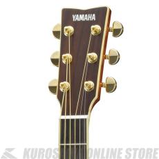 YAMAHA LL16 ARE NT 【送料無料】 【アコースティックギター入門セット付き!】【ONLINE STORE】_2