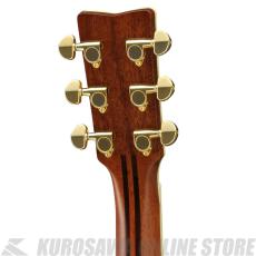 YAMAHA LL16 ARE NT 【送料無料】 【アコースティックギター入門セット付き!】【ONLINE STORE】_3