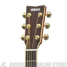 YAMAHA LS16 ARE BS 【送料無料】 【アコースティックギター入門セット付き!】【ONLINE STORE】_2
