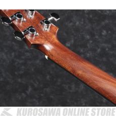 Ibanez AAD100-OPN 【スポット生産品】 【送料無料】 【ケーブルプレゼント!】【ONLINE STORE】_7