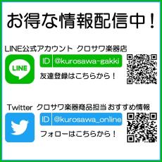 Ibanez AAD100-OPN 【スポット生産品】 【送料無料】 【ケーブルプレゼント!】【ONLINE STORE】_9