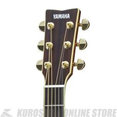 YAMAHA LL6 ARE BS 【送料無料】 【アコースティックギター入門セット付き!】【ONLINE STORE】_2