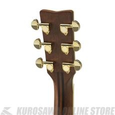 YAMAHA LL6 ARE BS 【送料無料】 【アコースティックギター入門セット付き!】【ONLINE STORE】_3