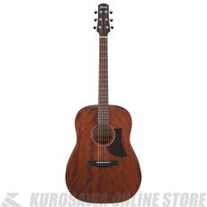Ibanez AAD140-OPN 【送料無料】 【ケーブルプレゼント!】【ONLINE STORE】