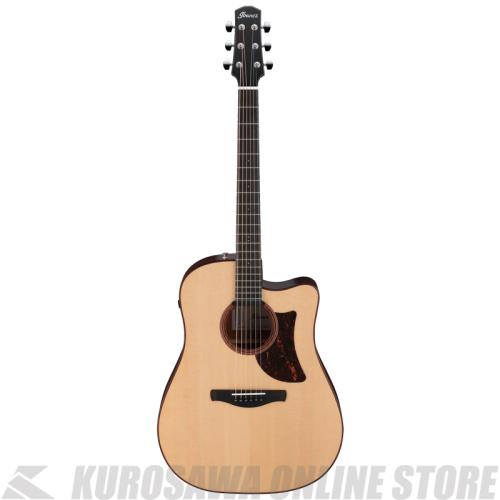 Ibanez AAD300CE-LGS 【スポット生産品】 【送料無料】 【ケーブルプレゼント!】【ONLINE STORE】