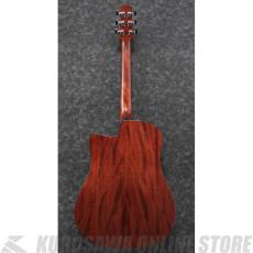 Ibanez AAD300CE-LGS 【スポット生産品】 【送料無料】 【ケーブルプレゼント!】【ONLINE STORE】_2