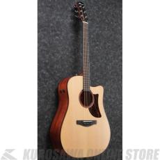 Ibanez AAD300CE-LGS 【スポット生産品】 【送料無料】 【ケーブルプレゼント!】【ONLINE STORE】_3