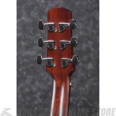 Ibanez AAD300CE-LGS 【スポット生産品】 【送料無料】 【ケーブルプレゼント!】【ONLINE STORE】_5