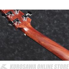 Ibanez AAD300CE-LGS 【スポット生産品】 【送料無料】 【ケーブルプレゼント!】【ONLINE STORE】_6
