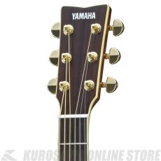 YAMAHA LJ6 ARE NT 【送料無料】 【アコギ入門セット付き!】(ご予約受付中)【ONLINE STORE】_2