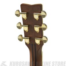 YAMAHA LJ6 ARE NT 【送料無料】 【アコギ入門セット付き!】(ご予約受付中)【ONLINE STORE】_3