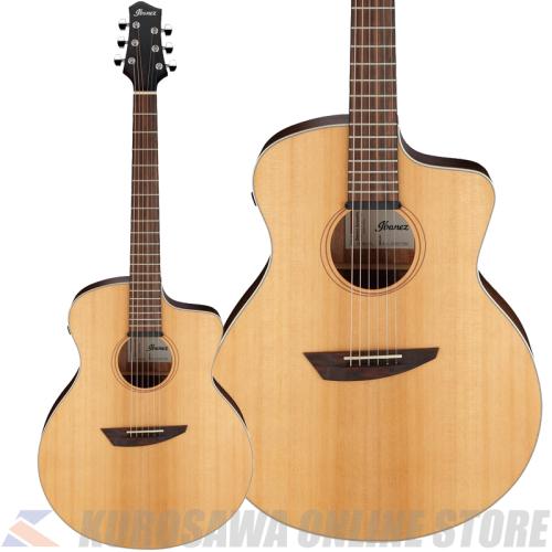 Ibanez PA230E-NSL [Performing Arts]【SPOTモデル】(ご予約受付中)【ONLINE STORE】