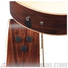 Ibanez PA300E-NSL [Performing Arts]【ケーブルプレゼント】(ご予約受付中)【ONLINE STORE】_4